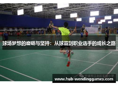 球场梦想的磨砺与坚持：从球霸到职业选手的成长之路