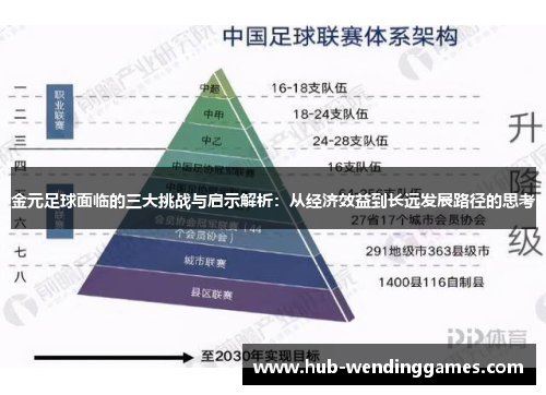 金元足球面临的三大挑战与启示解析：从经济效益到长远发展路径的思考