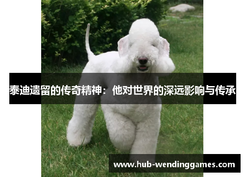 泰迪遗留的传奇精神：他对世界的深远影响与传承